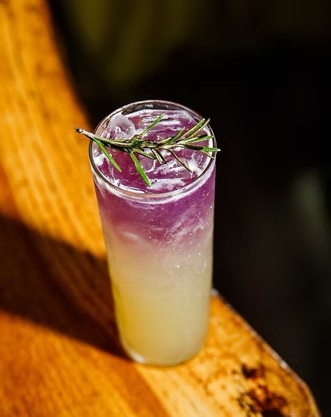 Rosemary Gin Fizz